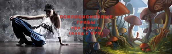 мдпв Аша