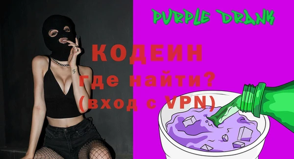 apvp Вяземский