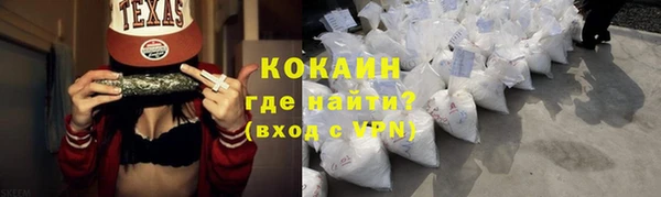 крисы Горняк