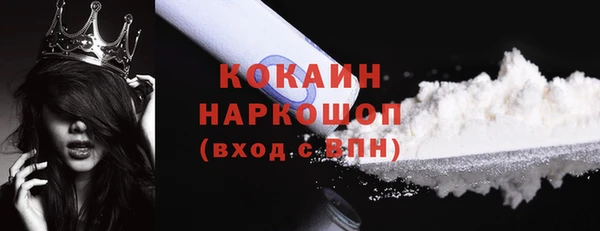 крисы Горняк