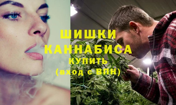 apvp Вяземский