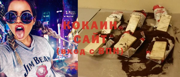 крисы Горняк
