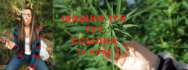 стафф Вязьма