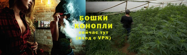 ГАЛЛЮЦИНОГЕННЫЕ ГРИБЫ Горнозаводск