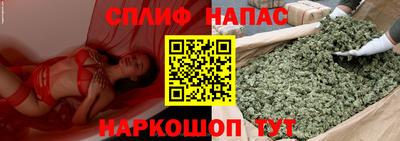 ПСИЛОЦИБИНОВЫЕ ГРИБЫ Беслан