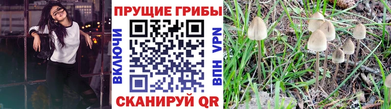 Псилоцибиновые грибы мицелий  продажа наркотиков  гидра как зайти  Дедовск 