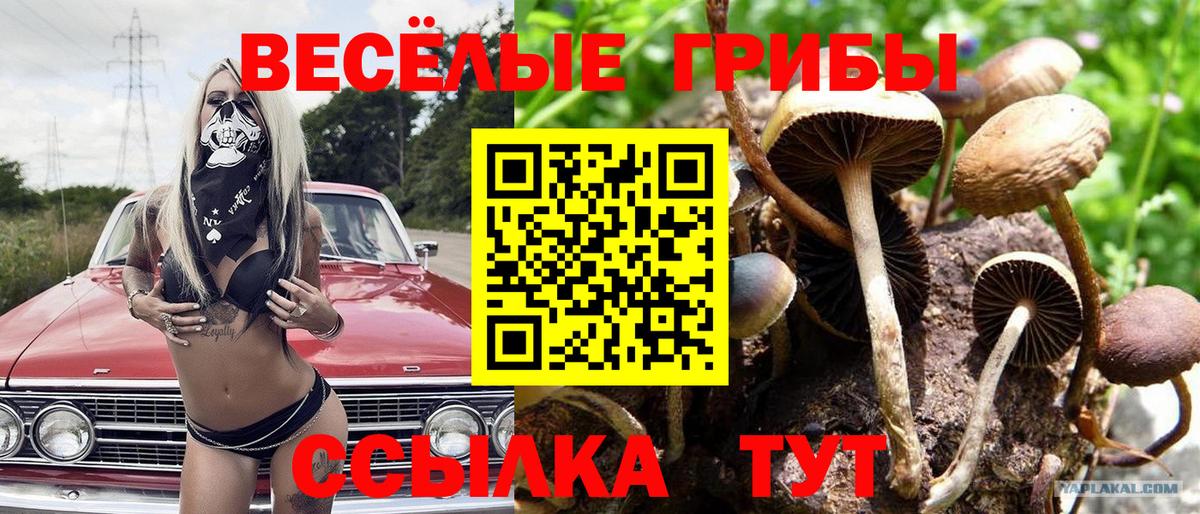 Галлюциногенные грибы прущие грибы Дедовск