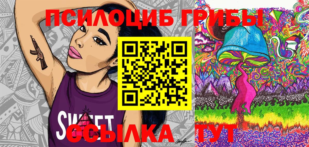 Псилоцибиновые грибы прущие грибы  Галлюциногенные грибы Psilocybine cubensis  Дедовск 