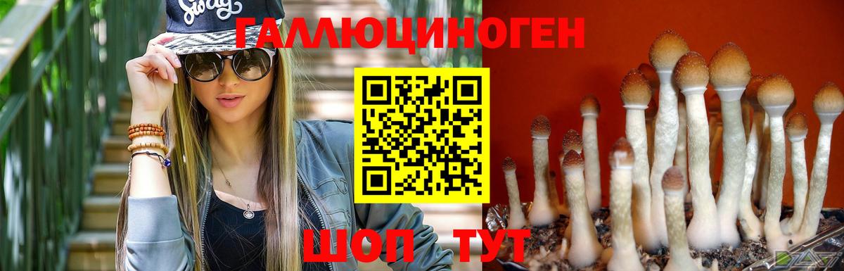 Дедовск  Галлюциногенные грибы Psilocybine cubensis  Вход с VPN 